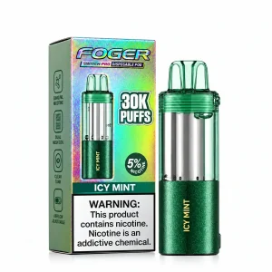 Icy Mint - Foger Switch Pro 30K Disposable Pod
