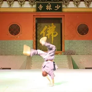 One Day Luoyang Tour from Xi'an by Bullet Train
