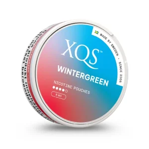 XQS Wintergreen 4mg Nicotine Pouches (5 Pack)